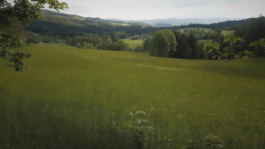 Zelená louka a zalesněné kopce
