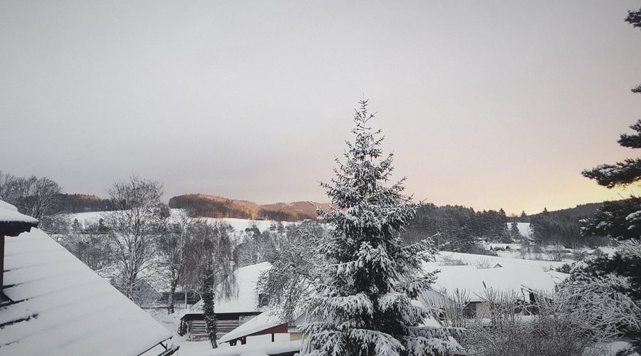 Zasněžená krajina se smrkem a kopci